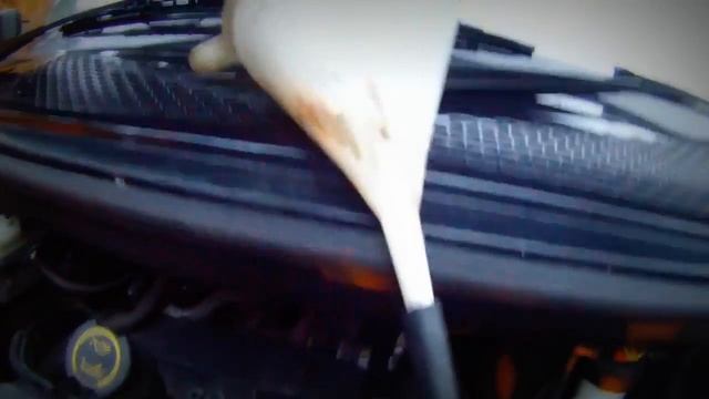 Автоэксперименты с экспертом