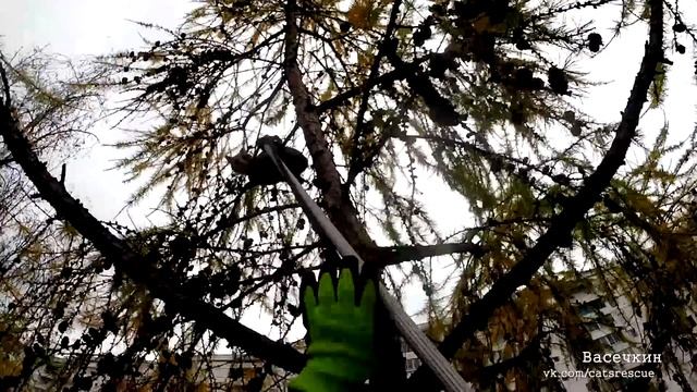 Потерялась.. сбежала из дома