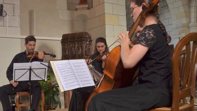 Quatuor Girard : Haydn, String Quartet Op.76 N°5, 