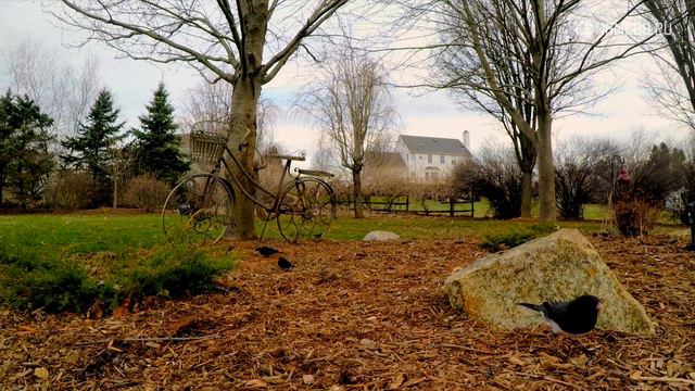 Три знака Зодиака - прирожденные актеры