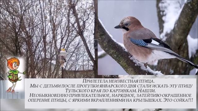 #КонкурсВыготского2019ПолуэктовагородЕфремов  