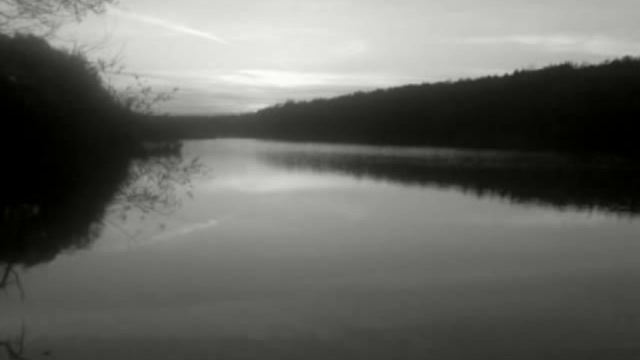 Ирина Богушевская - С потерянным лицом на поводке