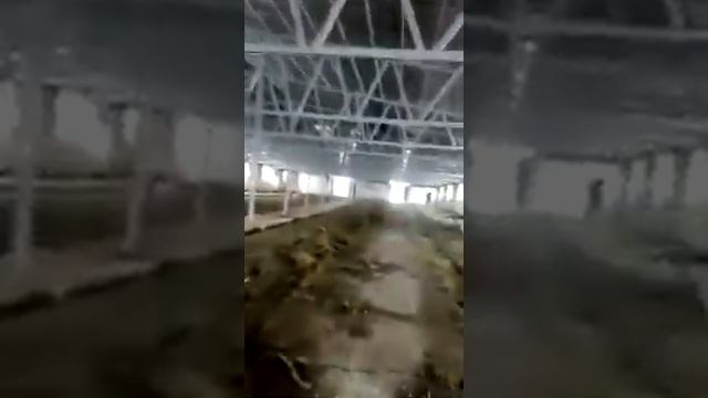 Строительство коровника (реконструкция)2