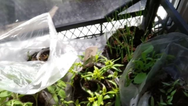 44244f31f228d01ee11173b3df32d790