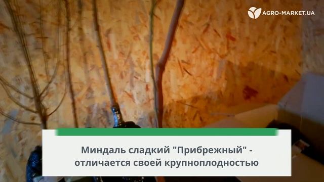 E8b0f0a7904289144e6bf75aa619d272