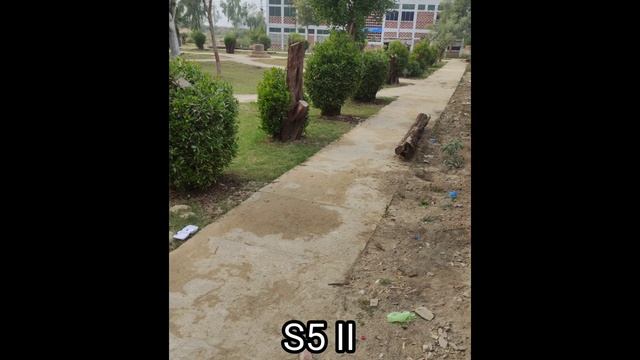 Panasonic Lumix S5 II Vs Sony A7R V Camera Comparison