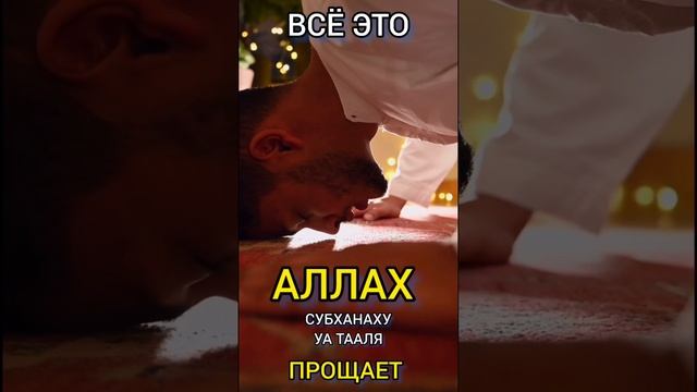 Всевышний АЛЛАХ говорит в КОРАНЕ