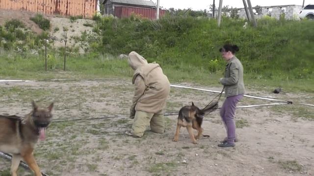 Зоненвельт Чайра.mp4