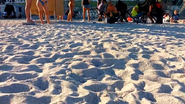 Съёмки на пляже, ручные голуби