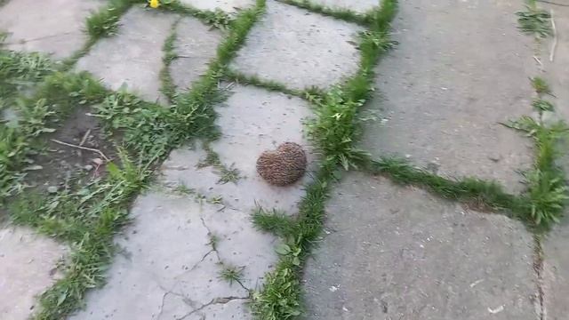 Bd7d102b59ebb53110d724e8ad6d27a7