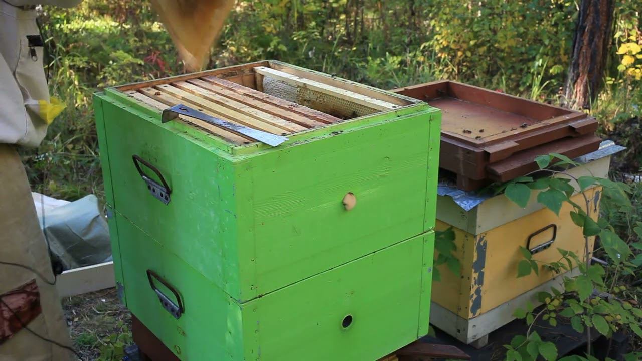 Смотрю ослабшие семьи, контроль состояния.