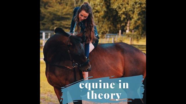 7. Behavioral Problems & +R Solutions