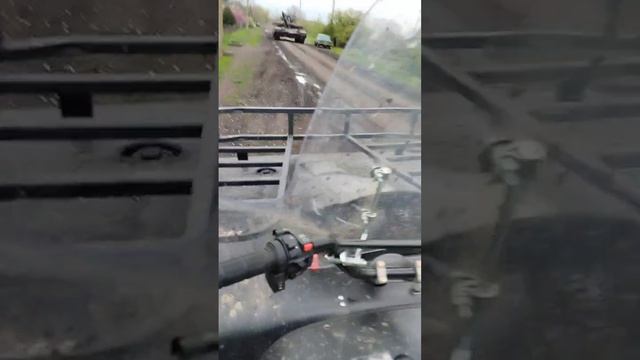 Медведь мимо Сокола.mp4