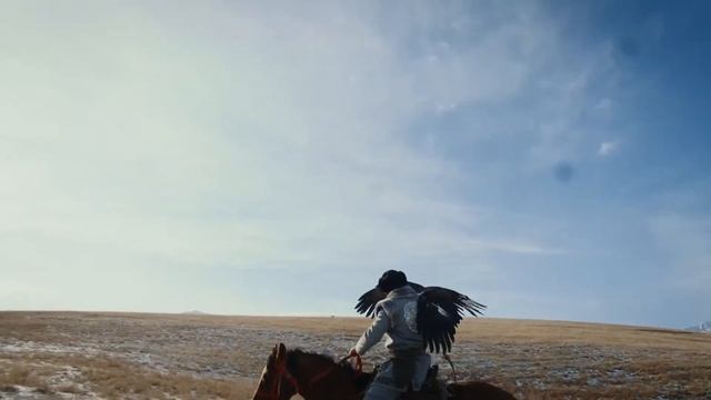 Дикая Природа Online