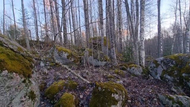 Мегалиты и древняя стена Тиверского городища.