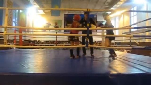 839c6a42c5f2443bcd71231eeee6911a