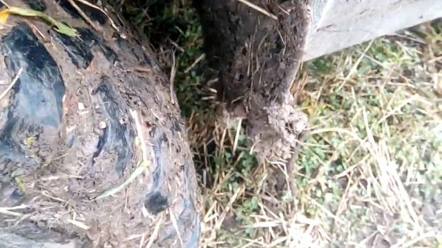 РАСШИРИТЕЛИ АРОК НИВА