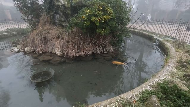 CARNEVALE DI VENEZIA 2024 In Maschera! Bacari, Cibo, Nebbia E Leggende!