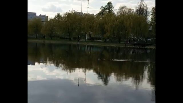 1 мая, а уже вылупились утята