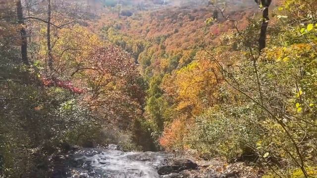 354eb428da5c96108e3e1d207402cbe0