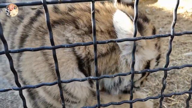 65908d6809af3bcdb9b1d214ba196c75