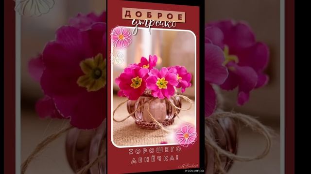 Прекрасного настроения...Отличного здоровья...С Добрым утром ???