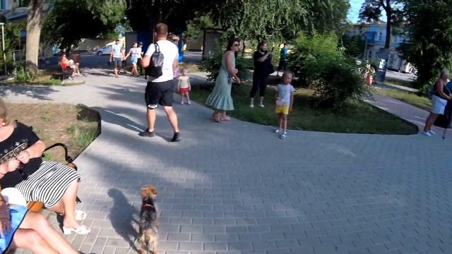 КРЫМ 2021. ЕВПАТОРИЙСКИЙ ТРАМВАЙ. УЖАСНЫЕ ЧЕБУРЕКИ. РЫБА ЦАЦА. КЛУБ DEL MAR. ИЮНЬ 21#14