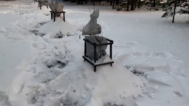 Шериф на даче / набираю воды / забочусь о посадках / начинаем утеплять баню