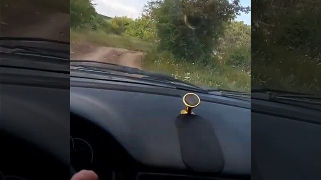 Лада приора львиное сердце вместо мотора