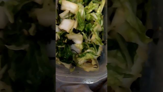 白菜の塩昆布★ポン酢、生姜、オウバ、ごま油、塩昆布でもみもみ★