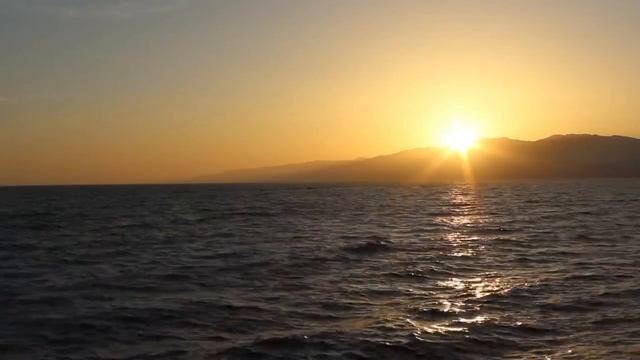 В преддверии последних времен. Из проповедей протоиерея Валентина Свенцицкого