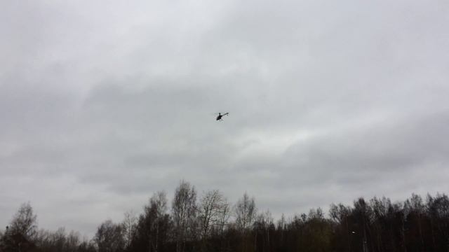 14.11.2015 T-REX 600