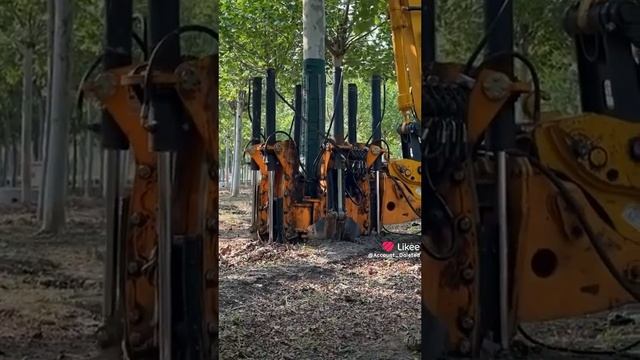 Переезд деревьев