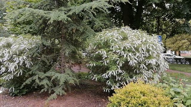 пригород парижа