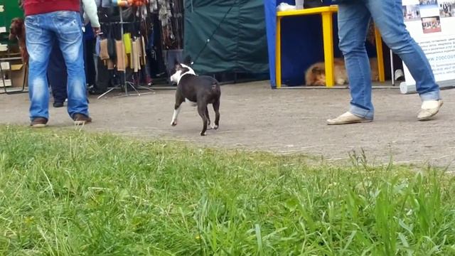 861de812192464afeb3bcdff6026778f