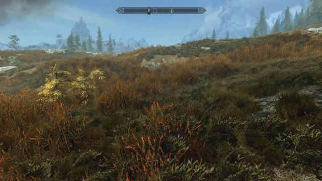 Western Watchtower Skyrim Anniversary Ed. PS5 HD