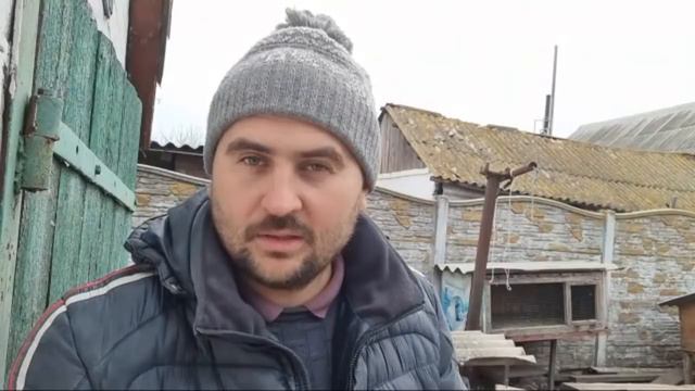 нас снегом завалило! поросята все зелёные!