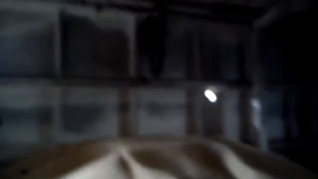 Нырнул в кучу гороха!!!