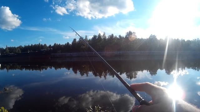 Мощная потяжка бычка. Канал имени Москвы.