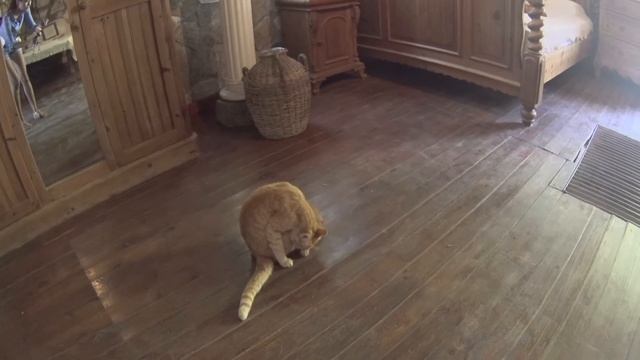 Travel Vlog Cyprus - Agios Neophytos Monastery And Adonis Waterfall