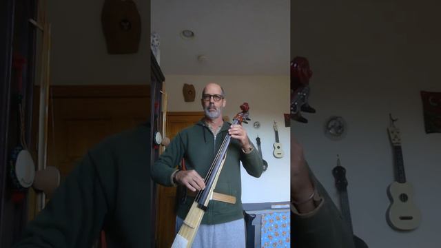 Havlena Electric Cello