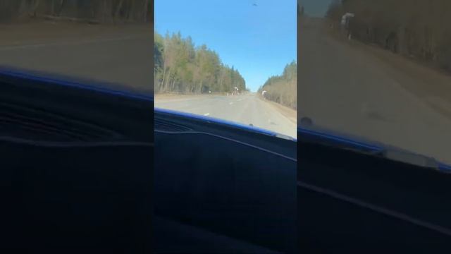 АвтоГений: Ремонт и Технические Новости