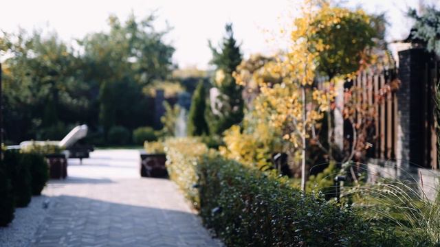 Full Чадо Барикадка 50 Mb Ver 4 VBR 2