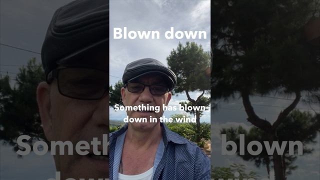 Blown Down