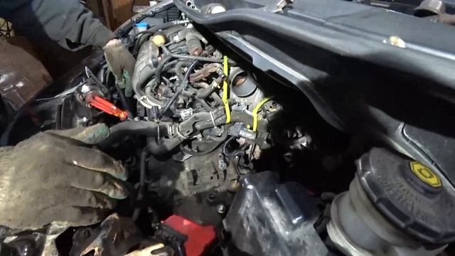 JavaScript для создателей контента