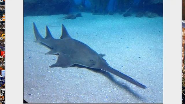 40b3fea1eb17a1a167bcdd91db24f61a