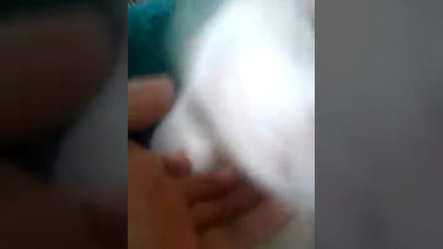 4b106fa934735ba15770b8fe7a358a3a