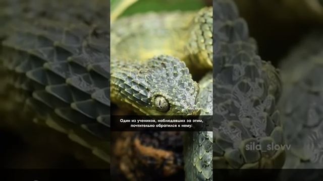 6b4a0adc823c847fd80763eccfcb0615