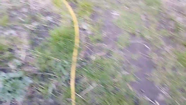 Последствия возвратных заморозков.