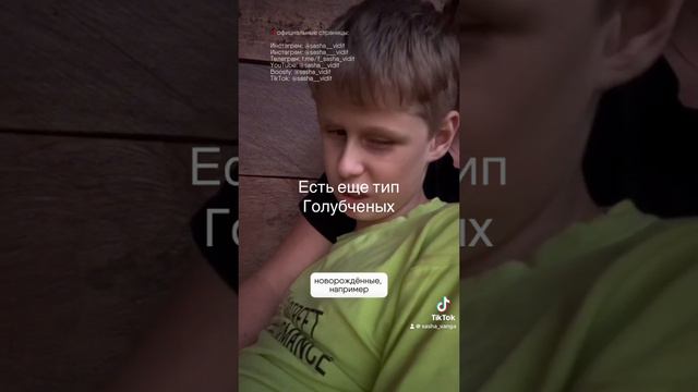 Тип голупченых